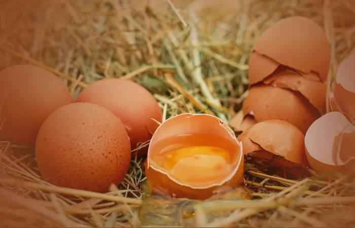 Диагностика порчи яйцами